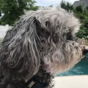 Meet your Posher, Ruth